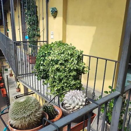 Apartamento Corte 31 *